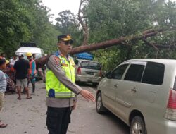 Pantau Arus Lalin Mudik, Kapolres Temukan Pohon Tumbang