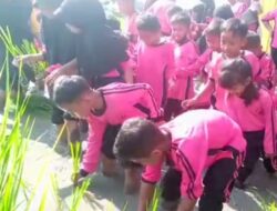 Pelajaran Ekstrakurikuler, SD Negeri 12 Pelutan Perkenalkan Dunia Pertanian Kepada Anak Sedini Mungkin