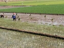 Sejumlah Petani di Kabupaten Batang Cemaskan Mengeringnya Mata Air