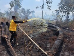 Personil Polsek Bilah Hilir Berjibaku Padamkan Api di Lahan Warga