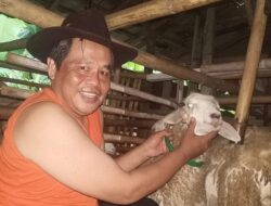 Tukang Angon Kambing di Pemalang Mencalonkan Diri Pada Pemilu 2024