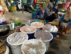 Harga Ikan Laut di Pasar Alami Kenaikan, Dampak Angin dan Ombak Besar