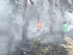 Akibat Puntung Rokok, Hutan Jati di Desa Pegongsoran Terbakar