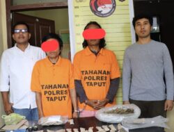 Pengembangan Kasus Narkotika, Polres Taput Ungkap Bandar Lebih Besar