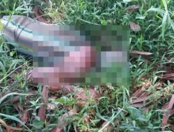Seorang Kakek Ditemukan Tewas di Tengah Persawahan