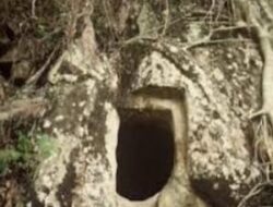 “Homang”, Sosok Misterius di Hutan Tapanuli Utara