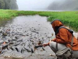 Jangan Berani Ambil Ikan Liar di Telaga Renjeng Kalau Tak Mau Celaka