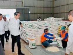 Presiden Jokowi Cek Gudang Bulog, Pastikan Stok Beras Aman