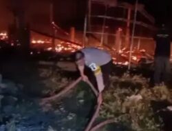 Ribuan Ekor Ayam Terpanggang Kobaran Api di Pekalongan