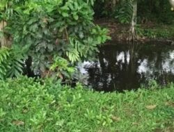 Jangan Coba-coba Berbohong Bila Minum Air Kolam Taman