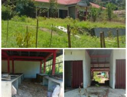Ditanya Soal Gedung Pasar, Kadis Kopenaker Humbahas “Lempar Handuk”
