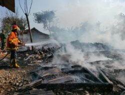 Gegara Bakar Sampah, Kandang Terbakar Beberapa Kambing Terpanggang
