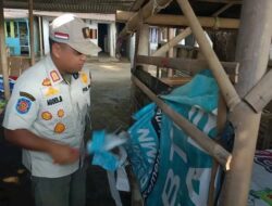 Sering Disalah Gunakan Puluhan Gazebo di Pantai Sumurpandan Dibongkar