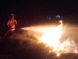 Lahan Dekat Komplek Perumahan Kota Bale Agung Terbakar