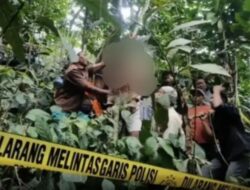 Geger Penemuan Mayat Terjepit di Pohon Kopi