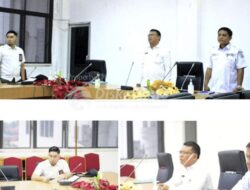 Inspektur Daerah Labuhanbatu Ikuti Webinar Penguatan SDM APIP