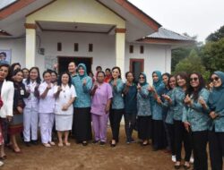 Pj Ketua TP PKK Sumut Kunjungi Posyandu di Paranginan