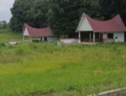 Wisata Kampung Nenas Diduga Modus Untuk Gerogoti Anggaran