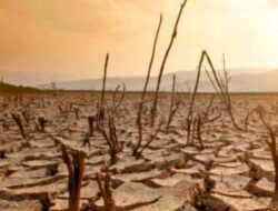 Gawat ! Suhu Panas di Indonesia Bisa Tembus 40 Derajat Celcius