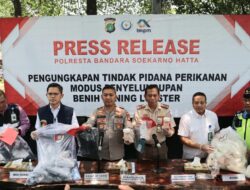 Polresta Bandara Soetta Gagalkan Seludupan Ratusan Ribu Benih Lobster