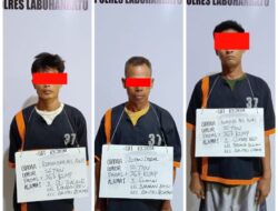Polres Labuhanbatu Tangkap 3 Orang Kawanan Pencuri Kerbau, 3 Lagi DPO