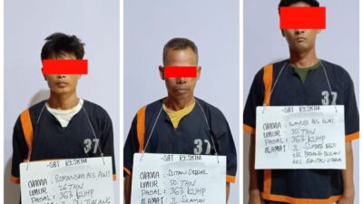 Polres Labuhanbatu Tangkap 3 Orang Kawanan Pencuri Kerbau, 3 Lagi DPO