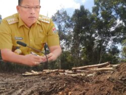 Bupati Humbahas Dosmar Tegaskan Tiada Ampun Bagi Perusak Lingkungan