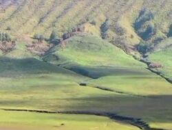 Padang Savana Bromo Pasca Kebakaran