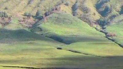 Padang Savana Bromo Pasca Kebakaran