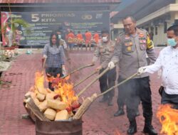 91 Bal Ganja Kering Dimusnahkan Polres Madina 