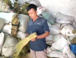 Kekurangan Bahan Baku & Tenaga Kerja Jadi Kendala Produsen Sapu Glagah