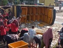 Truk Terguling di Kandeman, Udang Berhamburan Jadi Rebutan Warga