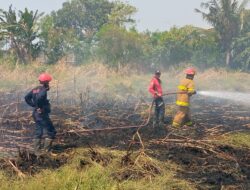 Kebakaran Lahan di Areal Pabrik Kain Mori, Buat Karyawan Panik 