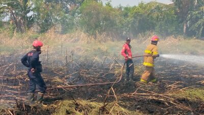 Kebakaran Lahan di Areal Pabrik Kain Mori, Buat Karyawan Panik 