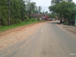 Material Tanah dari Truk Jatuh di Jalan Pinangsori Bahayakan Pengendara
