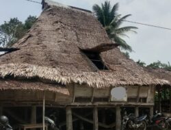 Rumah Adat Nias Berumur Ratusan Tahun di Lolofaoso Terancam Ambruk