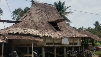 Rumah Adat Nias Berumur Ratusan Tahun di Lolofaoso Terancam Ambruk