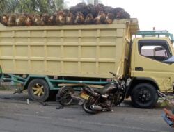 Truk Bermuatan Sawit Vs Becak Motor, Pengendara Becak Tewas