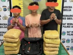 Polres Sibolga Amankan 10 Kg Ganja di Pinangsori