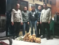 Warga Temukan Ganja Tak Bertuan Berserakan di Siantar