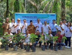 Kurangi Emisi Karbon, BRI Salurkan 440 Bibit Tanaman Bersertifikat