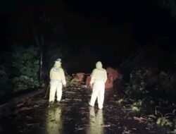 Curah Hujan Tinggi, Jalan Sibolga Tarutung Longsor