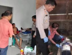 Warga Barus Utara Meninggal Usai Tertimpa Pohon Tumbang 