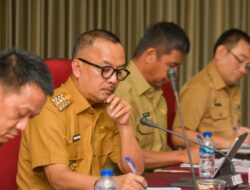 Pj Bupati Kampar Sampaikan Laporan Triwulan II ke Mendagri RI