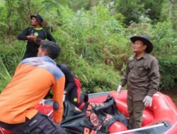 Wabup Humbahas Komandoi Pencarian Jasad Korban Hanyut di Sungai Aek Silang