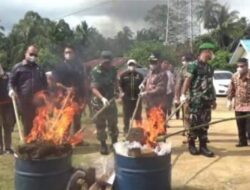 Polres Padangsidimpuan Musnahkan 19,9 Kg Ganja dan 3 Kg Sabu