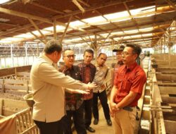 Pemkab Bungo Jambi Kunker ke Kampar Bahas Sektor Peternakan