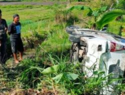 Mobil Bawa 11 Pelajar di Taput Terjun ke Sawah, 7 Luka-luka