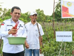 Gubernur Kepri Serahkan Bantuan ke Petani Cabai di Kampung Sidodadi