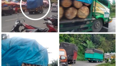 Truk Kayu Muatan Pinus Masih Beroperasi Dari Arah Toba Abaikan SKB Pemprovsu